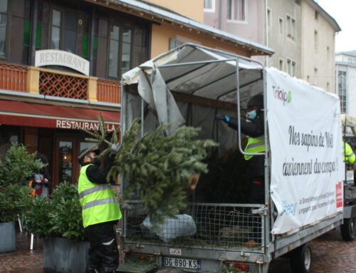 article du Dauphiné « La collecte à cheval de sapins de Noël »